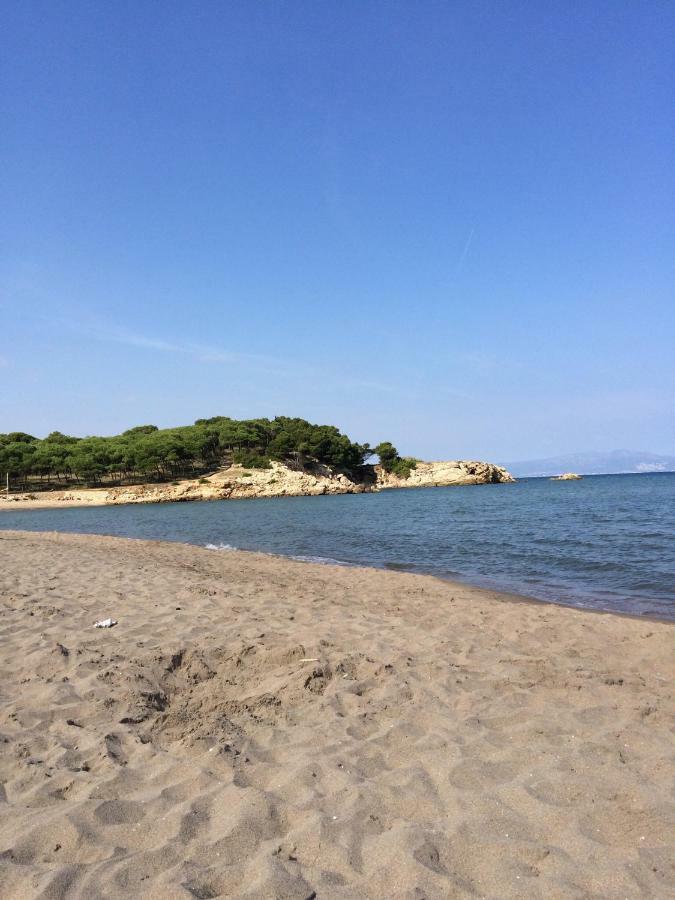 2 Bedroom Apartment In The Old Town, Close To The Beach Л'Аскала Екстер'єр фото